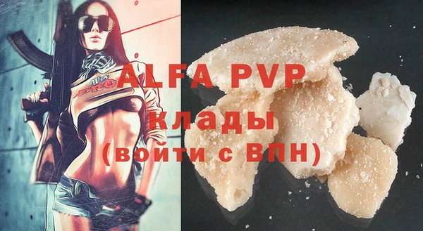 крисы Инта
