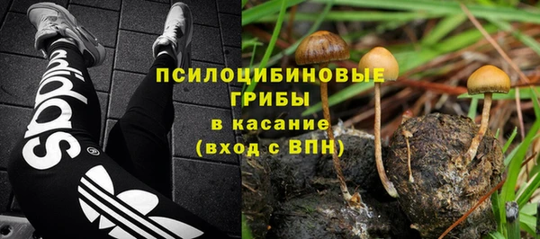 бошки Абинск